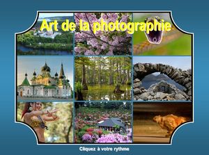 art_de_la_photographie_Kamayura