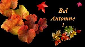 bel_automne_1_mimi_40