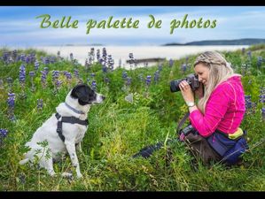 belle_palette_de_photos_by_ibolit
