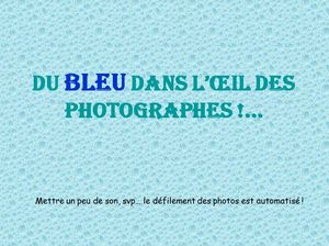 bleu_bleu