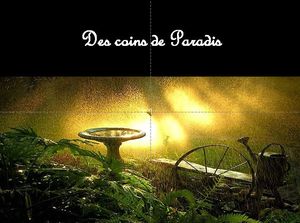 des_coins_de_paradis