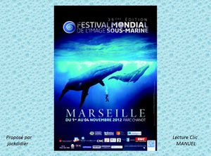 festival_image_sous_marine