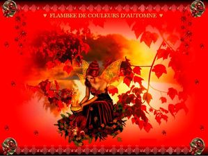 flambee_de_couleurs_d_automne_fabie_10_17