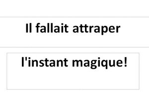 il_fallait_attraper_l_instant_magique