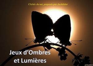 jeux_d_ombres_et_lumieres_jackdidier