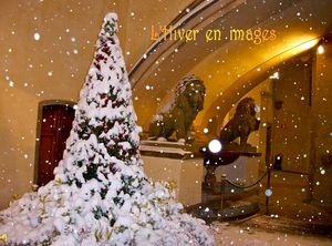l_hiver_en_images_stellinna