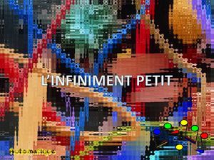 l_infiniment_petit_chantha