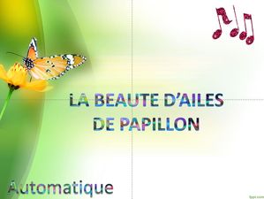 la_beaute_d_ailes_de_papillon_chantha