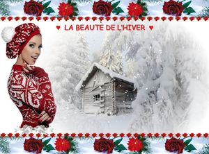 la_beaute_de_l_hiver_fabie_fevrier_2017