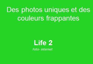 life_2_des_photos_uniques