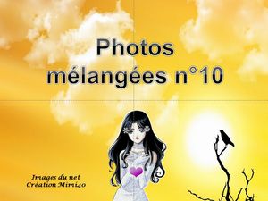 photos_melangees_10