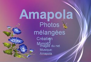 photos_melangees_1__amapola