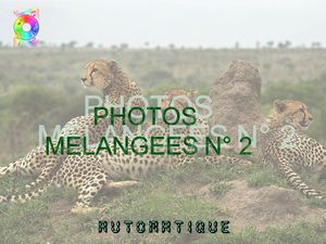 photos_melangees_2_chantha