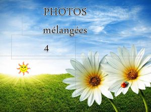 photos_melangees_4