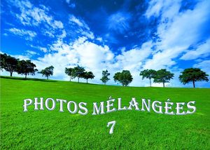 photos_melangees__7