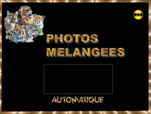 photos_melangees_chantha