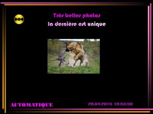 photos_uniques_chantha