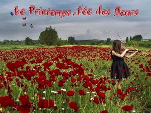 printemps_fee_des_fleurs_stellinna