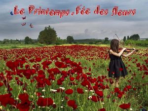 printemps_fee_des_fleurs_stellinna