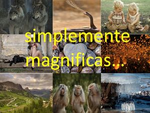 simplement_magnifique