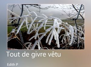 tout_de_givre_vetu_edith_p