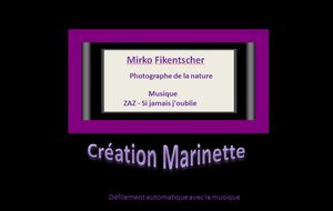 zaz_si_jamais_j_oublie_marinette