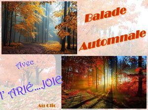 automne_2017_ariejoie