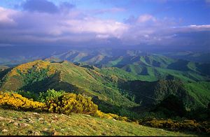 cevennes_savoureuses_jackdidier