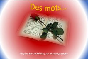 des_mots_jackdidier