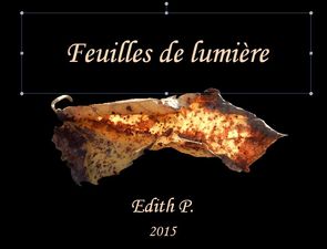 feuilles_de_lumiere_edith_p