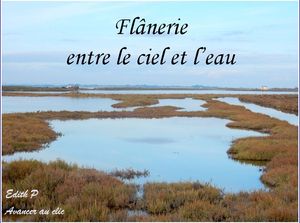 flanerie_entre_le_ciel_et_l_eau_edith_p