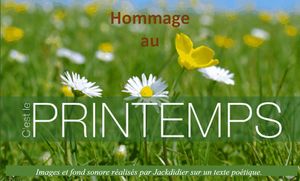 hommage_au_printemps_jackdidier