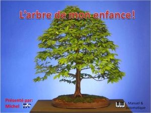 l_arbre_de_mon_enfance_michel