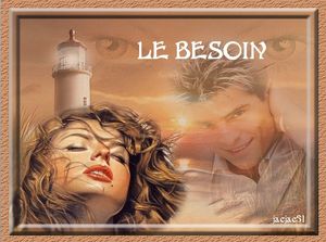 le_besoin