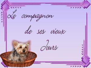 le_compagnon_de_ses_vieux_jours_dede_51