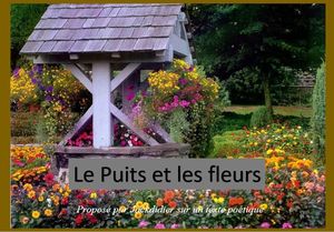 le_puits_et_les_fleurs_jackdidier