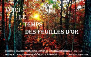 le_temps_des_feuilles_d_or_1_jacky