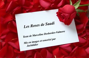 les_roses_de_saadi_jackdidier