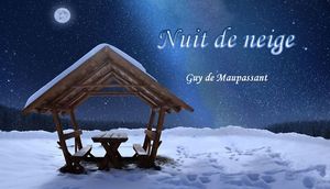 nuit_de_neige_mimi_40