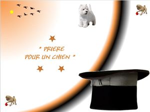 priere_pour_un_chien_fabie_septembre_2011