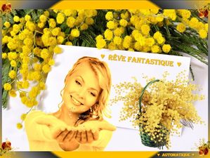 reve_fantastique_fabie_02_18