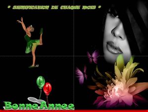 signification_de_chaque_mois_janvier_2011