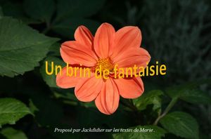 un_brin_de_fantaisie_jackdidier