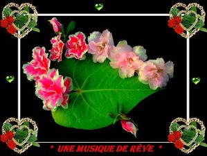 une_musique_de_reve_aout_2011