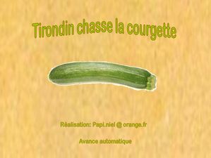 chasse_a_la_courgette_papiniel