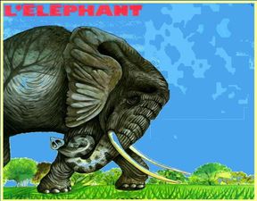 l_elephant_papiniel