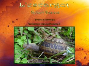 l_escargot