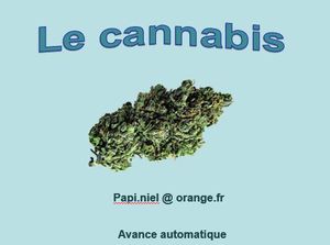 le_cannabis_papiniel
