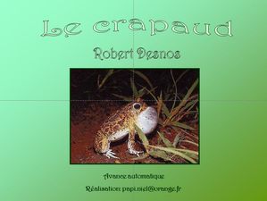 le_crapaud_papiniel