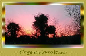 eloge_de_la_culture_reginald_day